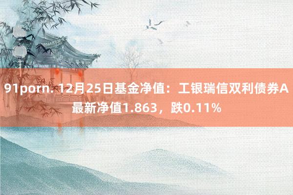 91porn. 12月25日基金净值：工银瑞信双利债券A最新净值1.863，跌0.11%