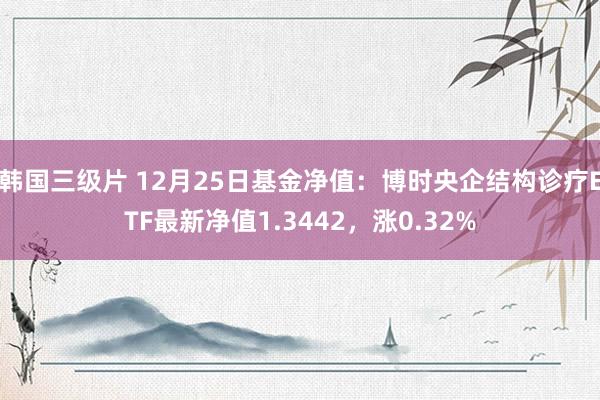 韩国三级片 12月25日基金净值：博时央企结构诊疗ETF最新净值1.3442，涨0.32%