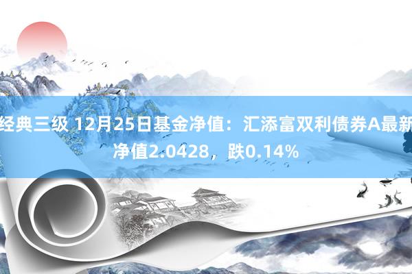 经典三级 12月25日基金净值：汇添富双利债券A最新净值2.0428，跌0.14%