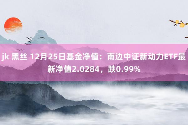 jk 黑丝 12月25日基金净值：南边中证新动力ETF最新净值2.0284，跌0.99%