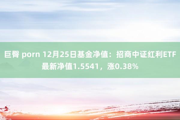 巨臀 porn 12月25日基金净值：招商中证红利ETF最新净值1.5541，涨0.38%