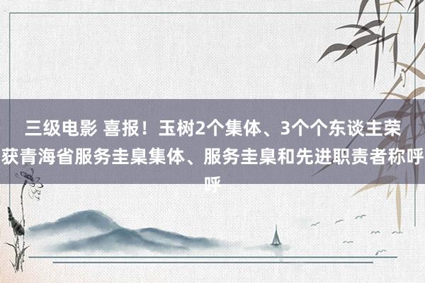 三级电影 喜报！玉树2个集体、3个个东谈主荣获青海省服务圭臬集体、服务圭臬和先进职责者称呼