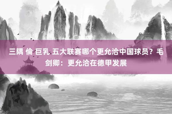 三隅 倫 巨乳 五大联赛哪个更允洽中国球员？毛剑卿：更允洽在德甲发展