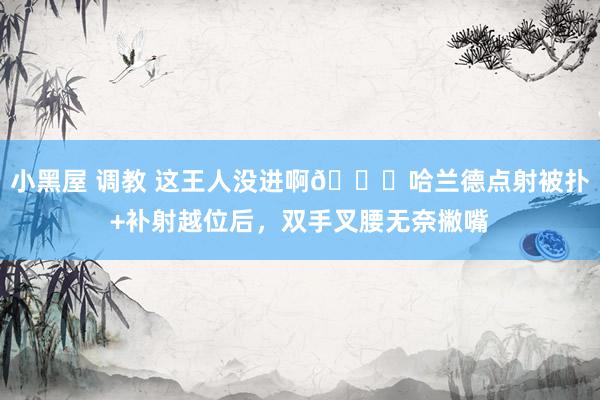 小黑屋 调教 这王人没进啊😕哈兰德点射被扑+补射越位后，双手叉腰无奈撇嘴