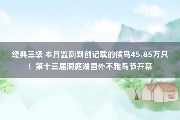 经典三级 本月监测到创记载的候鸟45.85万只！第十三届洞庭湖国外不雅鸟节开幕