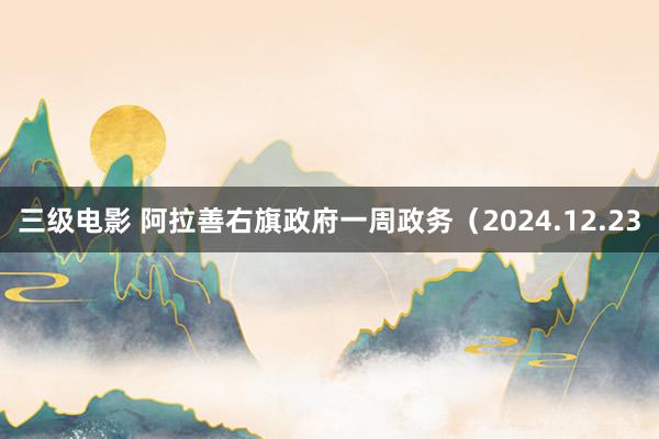 三级电影 阿拉善右旗政府一周政务（2024.12.23
