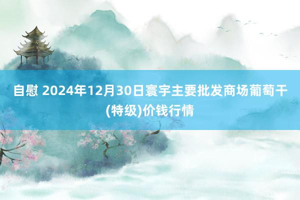 自慰 2024年12月30日寰宇主要批发商场葡萄干(特级)价钱行情