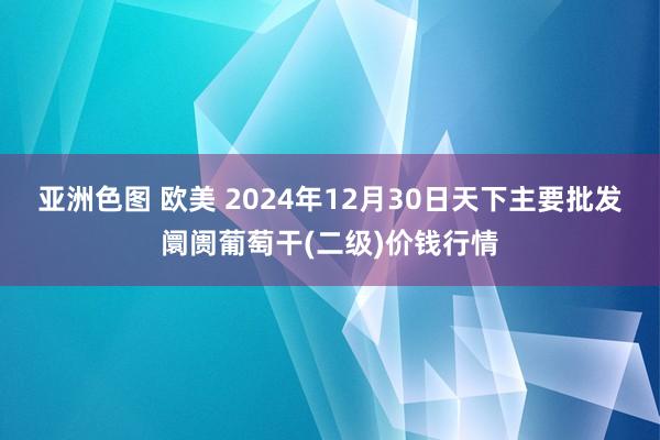 亚洲色图 欧美 2024年12月30日天下主要批发阛阓葡萄干(二级)价钱行情