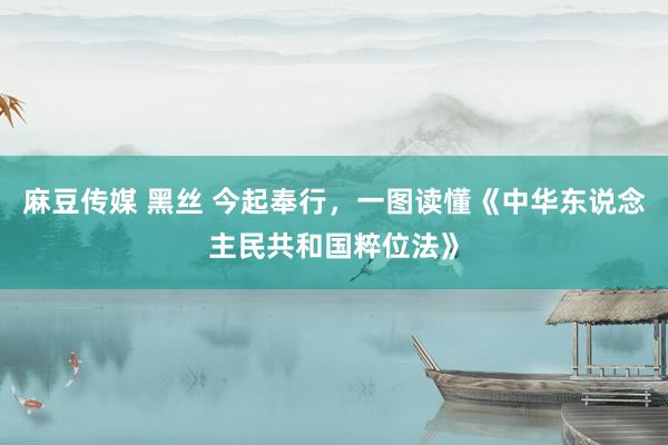 麻豆传媒 黑丝 今起奉行，一图读懂《中华东说念主民共和国粹位法》