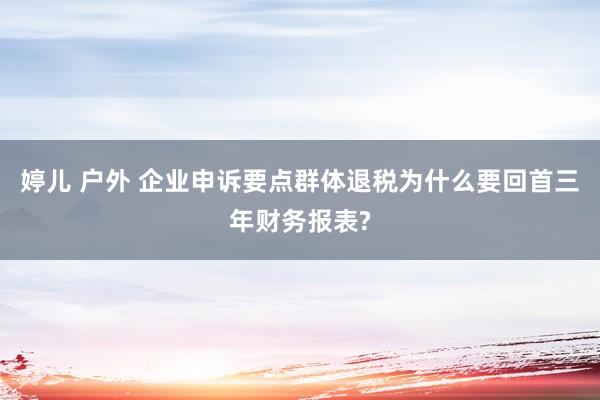 婷儿 户外 企业申诉要点群体退税为什么要回首三年财务报表?