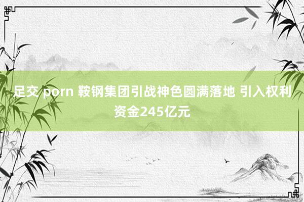 足交 porn 鞍钢集团引战神色圆满落地 引入权利资金245亿元