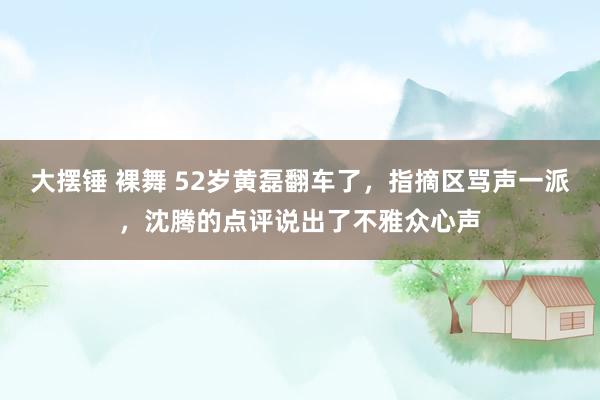 大摆锤 裸舞 52岁黄磊翻车了，指摘区骂声一派，沈腾的点评说出了不雅众心声