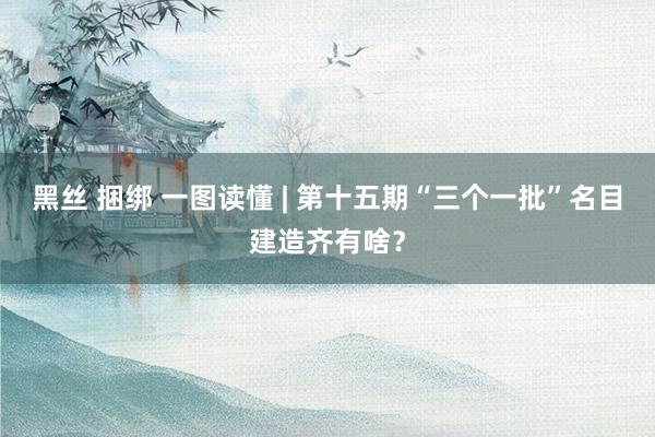 黑丝 捆绑 一图读懂 | 第十五期“三个一批”名目建造齐有啥？
