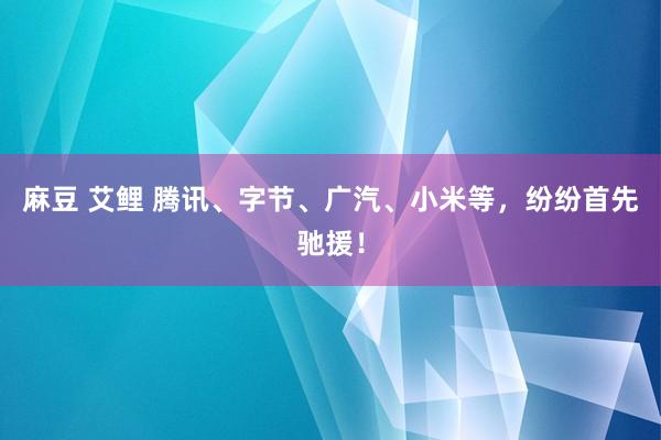 麻豆 艾鲤 腾讯、字节、广汽、小米等，纷纷首先驰援！