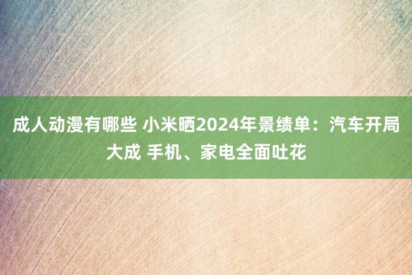 成人动漫有哪些 小米晒2024年景绩单：汽车开局大成 手机、家电全面吐花