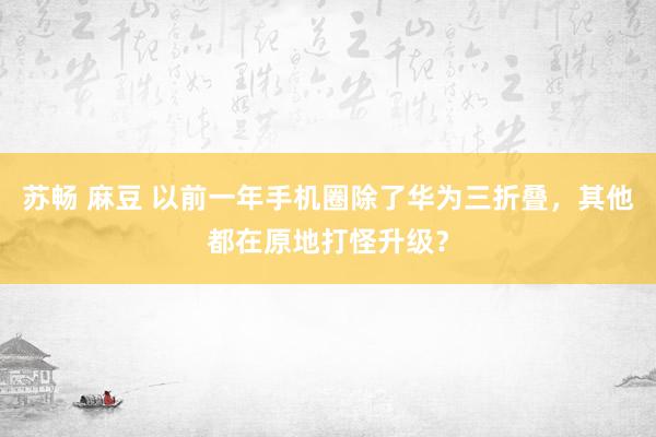 苏畅 麻豆 以前一年手机圈除了华为三折叠，其他都在原地打怪升级？