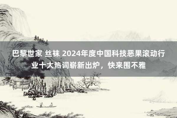 巴黎世家 丝袜 2024年度中国科技恶果滚动行业十大热词崭新出炉，快来围不雅