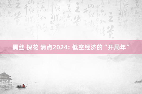 黑丝 探花 清点2024: 低空经济的“开局年”