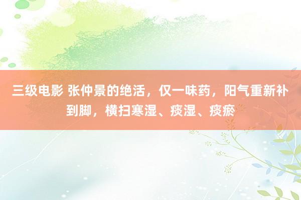 三级电影 张仲景的绝活，仅一味药，阳气重新补到脚，横扫寒湿、痰湿、痰瘀