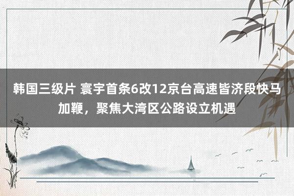 韩国三级片 寰宇首条6改12京台高速皆济段快马加鞭，聚焦大湾区公路设立机遇