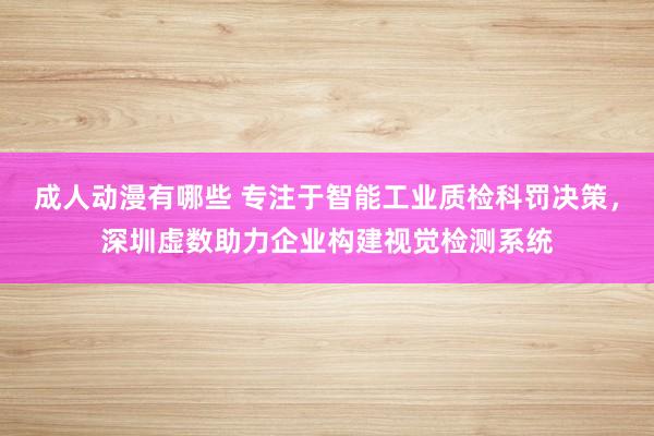 成人动漫有哪些 专注于智能工业质检科罚决策，深圳虚数助力企业构建视觉检测系统