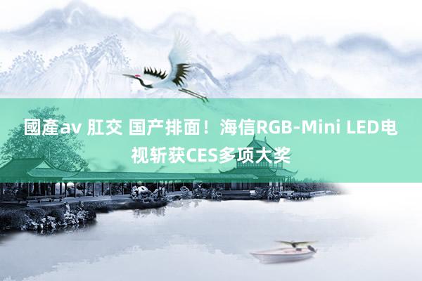 國產av 肛交 国产排面！海信RGB-Mini LED电视斩获CES多项大奖