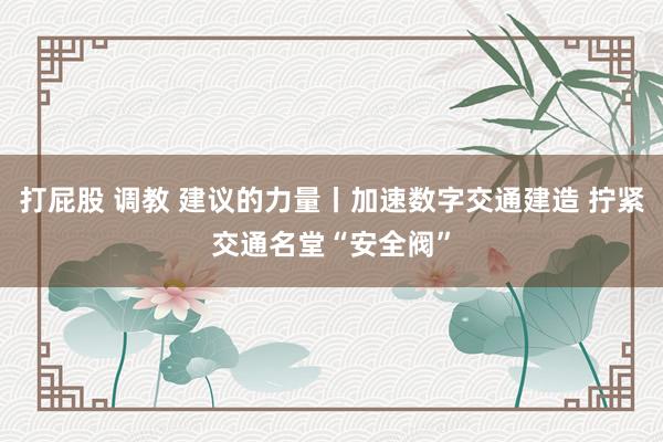 打屁股 调教 建议的力量丨加速数字交通建造 拧紧交通名堂“安全阀”
