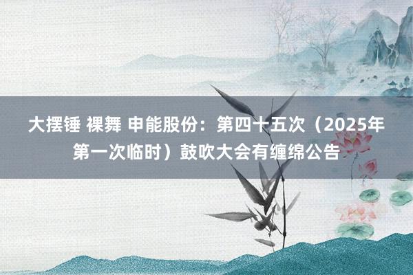 大摆锤 裸舞 申能股份：第四十五次（2025年第一次临时）鼓吹大会有缠绵公告