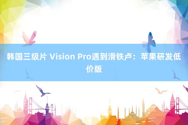 韩国三级片 Vision Pro遇到滑铁卢：苹果研发低价版