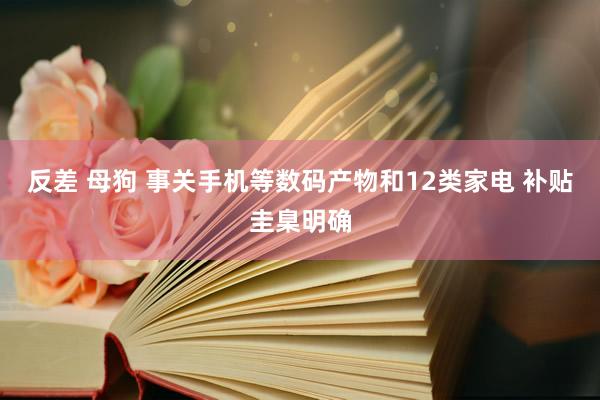反差 母狗 事关手机等数码产物和12类家电 补贴圭臬明确
