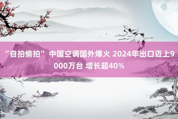 “自拍偷拍” 中国空调国外爆火 2024年出口迈上9000万台 增长超40%