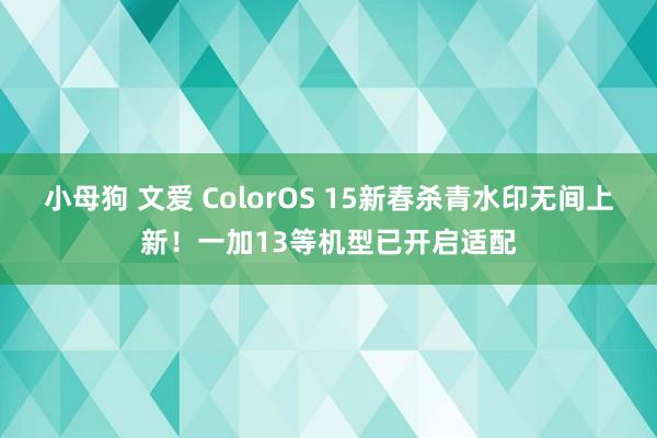 小母狗 文爱 ColorOS 15新春杀青水印无间上新！一加13等机型已开启适配
