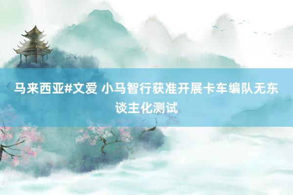 马来西亚#文爱 小马智行获准开展卡车编队无东谈主化测试