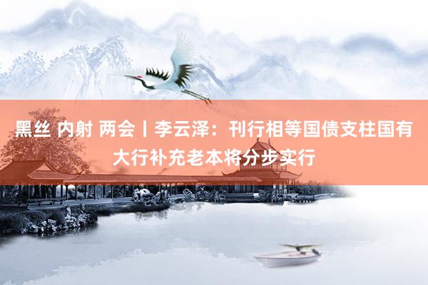 黑丝 内射 两会丨李云泽：刊行相等国债支柱国有大行补充老本将分步实行