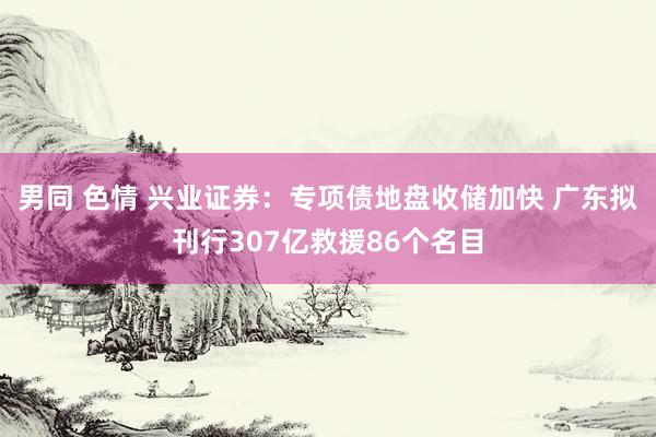 男同 色情 兴业证券：专项债地盘收储加快 广东拟刊行307亿救援86个名目