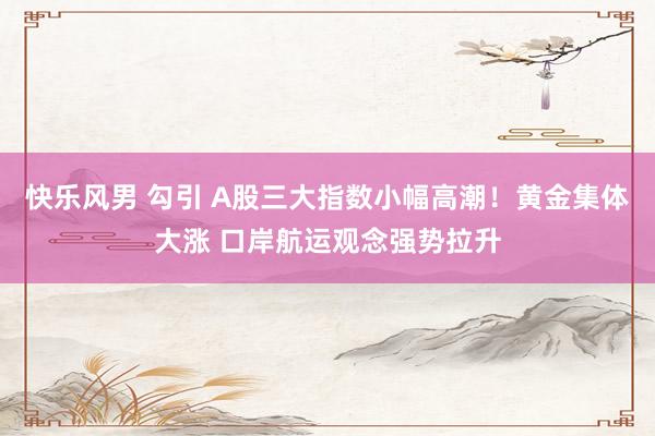 快乐风男 勾引 A股三大指数小幅高潮！黄金集体大涨 口岸航运观念强势拉升