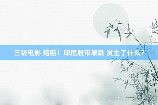 三级电影 熔断！印尼股市暴跌 发生了什么？