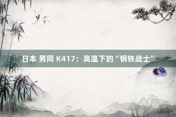 日本 男同 K417：高温下的“钢铁战士”