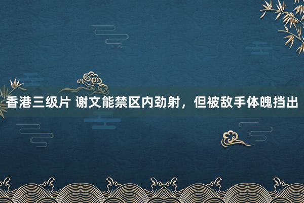 香港三级片 谢文能禁区内劲射，但被敌手体魄挡出