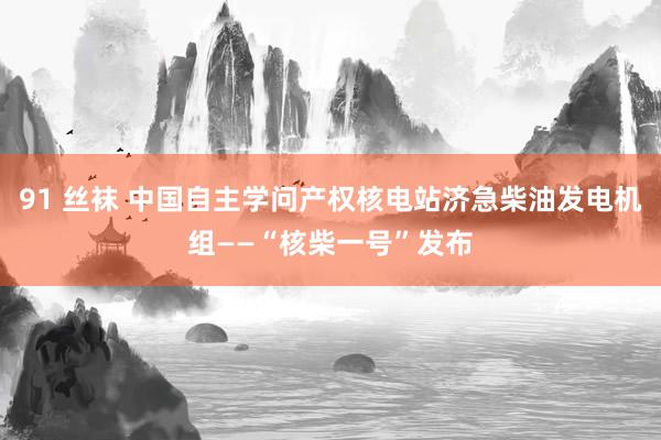 91 丝袜 中国自主学问产权核电站济急柴油发电机组——“核柴一号”发布