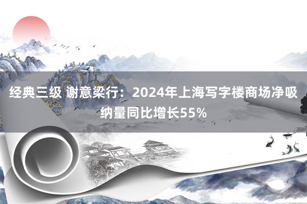 经典三级 谢意梁行：2024年上海写字楼商场净吸纳量同比增长55%