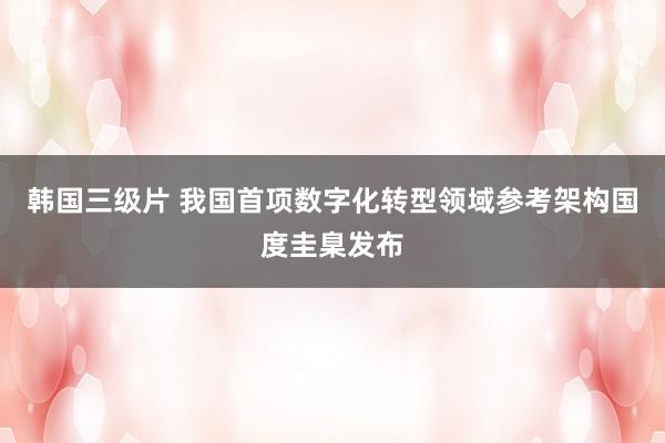 韩国三级片 我国首项数字化转型领域参考架构国度圭臬发布