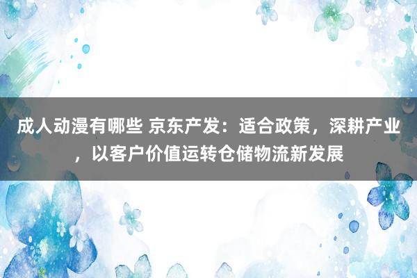 成人动漫有哪些 京东产发：适合政策，深耕产业，以客户价值运转仓储物流新发展