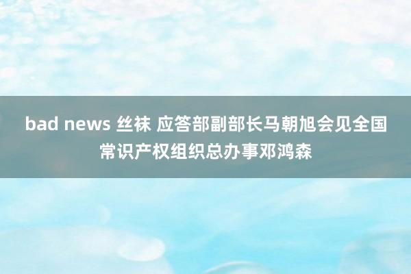 bad news 丝袜 应答部副部长马朝旭会见全国常识产权组织总办事邓鸿森