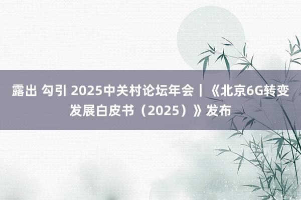 露出 勾引 2025中关村论坛年会｜《北京6G转变发展白皮书（2025）》发布