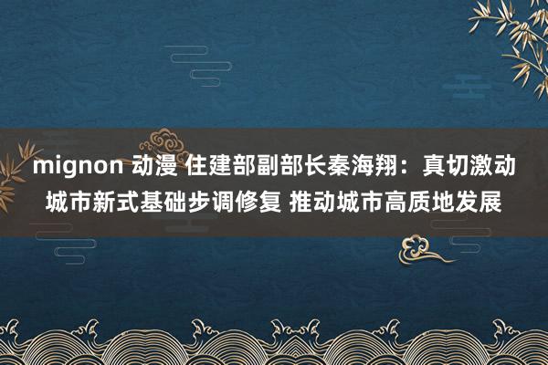 mignon 动漫 住建部副部长秦海翔：真切激动城市新式基础步调修复 推动城市高质地发展