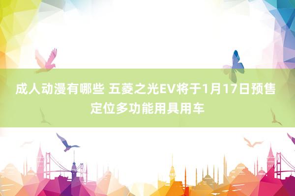 成人动漫有哪些 五菱之光EV将于1月17日预售 定位多功能用具用车