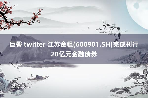 巨臀 twitter 江苏金租(600901.SH)完成刊行20亿元金融债券