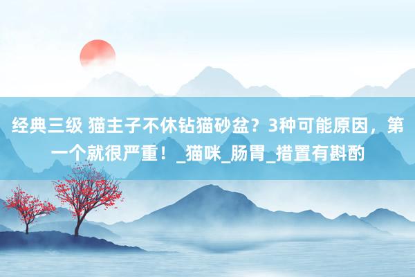 经典三级 猫主子不休钻猫砂盆？3种可能原因，第一个就很严重！_猫咪_肠胃_措置有斟酌