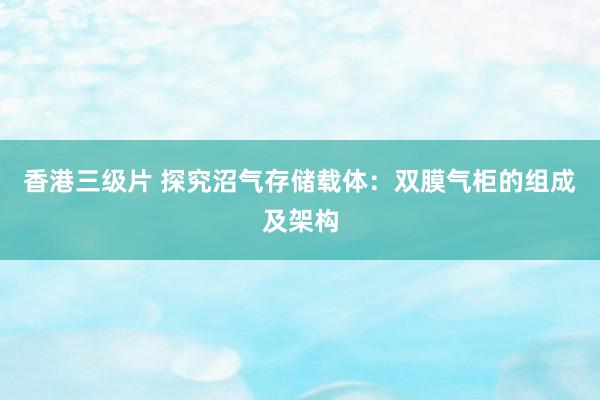 香港三级片 探究沼气存储载体：双膜气柜的组成及架构